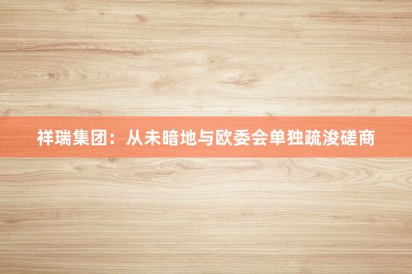 祥瑞集团：从未暗地与欧委会单独疏浚磋商