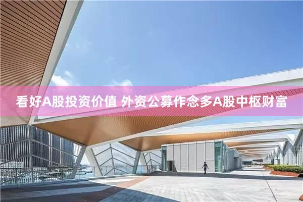 看好A股投资价值 外资公募作念多A股中枢财富