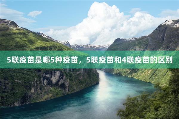 5联疫苗是哪5种疫苗，5联疫苗和4联疫苗的区别