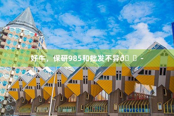 好牛，保研985和批发不异😭