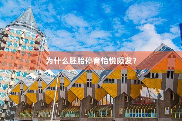 为什么胚胎停育怡悦频发？