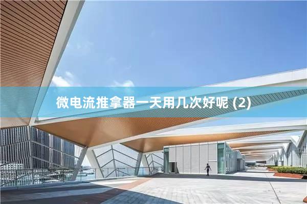 微电流推拿器一天用几次好呢 (2)