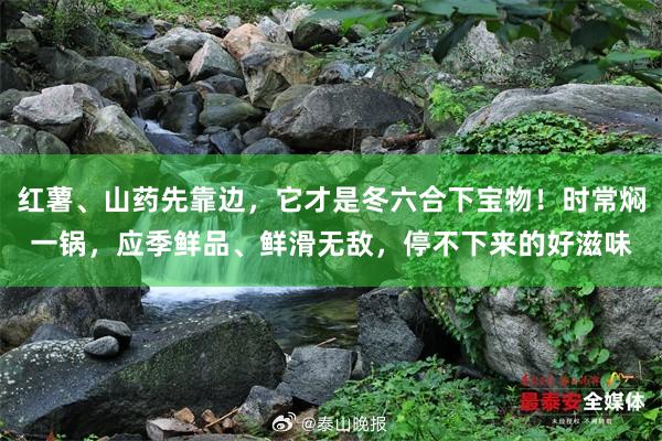 红薯、山药先靠边，它才是冬六合下宝物！时常焖一锅，应季鲜品、鲜滑无敌，停不下来的好滋味