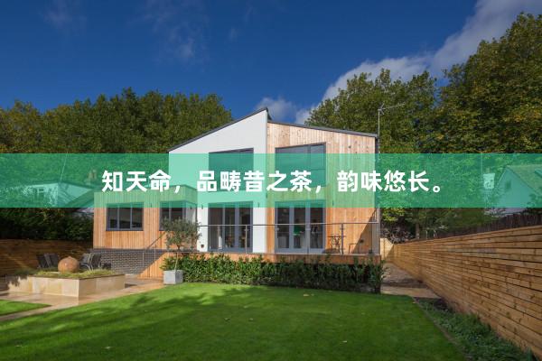 知天命，品畴昔之茶，韵味悠长。