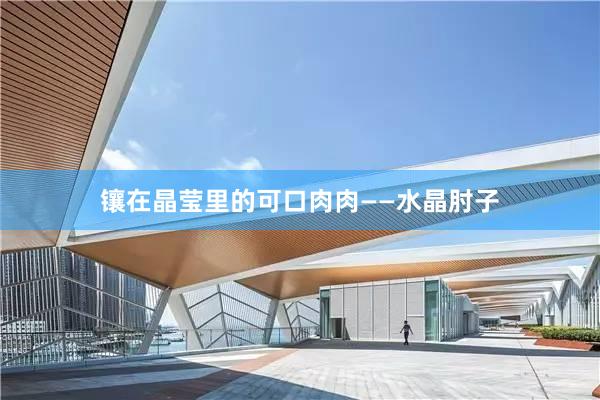 镶在晶莹里的可口肉肉——水晶肘子