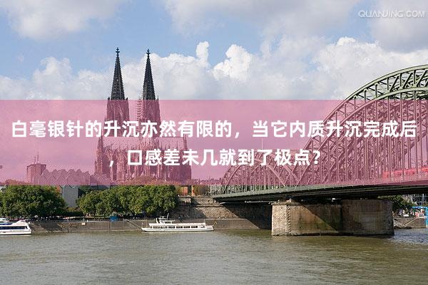 白毫银针的升沉亦然有限的，当它内质升沉完成后，口感差未几就到了极点？