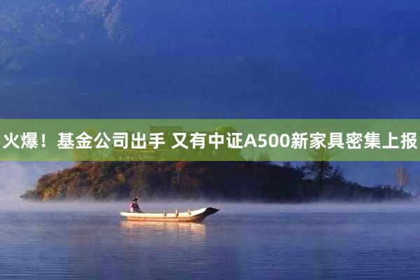 火爆！基金公司出手 又有中证A500新家具密集上报