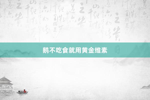 鹅不吃食就用黄金维素