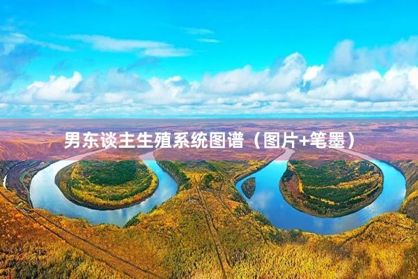 男东谈主生殖系统图谱（图片+笔墨）