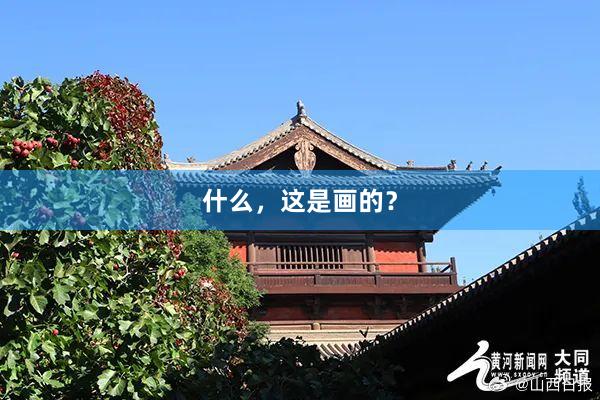 什么，这是画的？