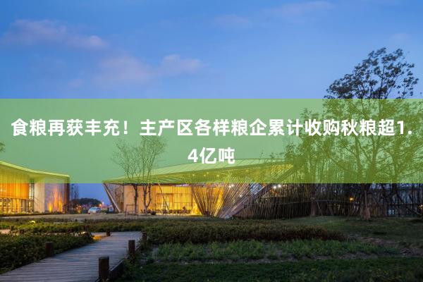 食粮再获丰充！主产区各样粮企累计收购秋粮超1.4亿吨