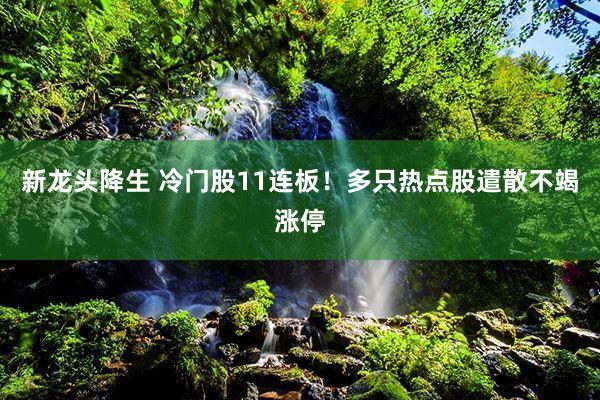 新龙头降生 冷门股11连板！多只热点股遣散不竭涨停