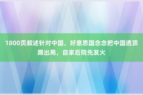 1800页叙述针对中国，好意思国念念把中国透顶踢出局，自家后院先发火