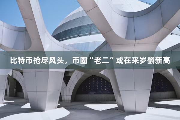 比特币抢尽风头，币圈“老二”或在来岁翻新高