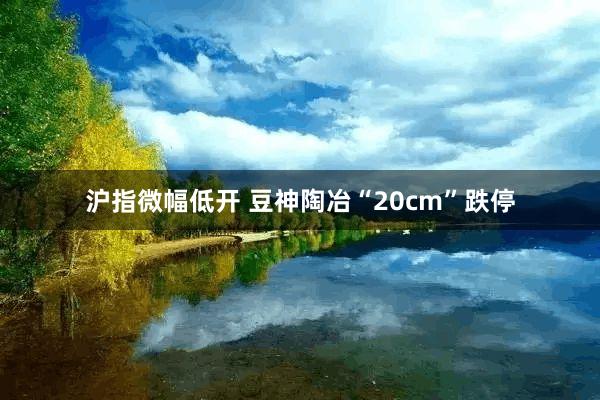 沪指微幅低开 豆神陶冶“20cm”跌停